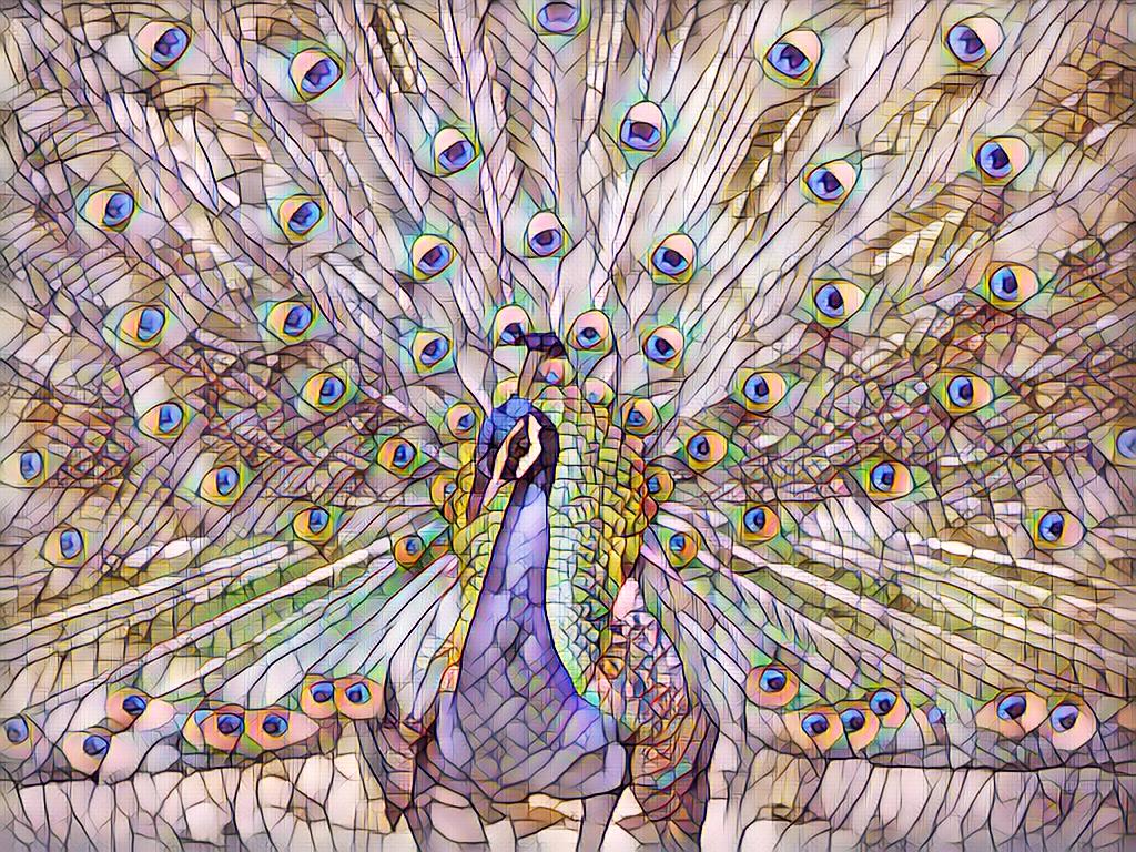 peacock_stained_glass